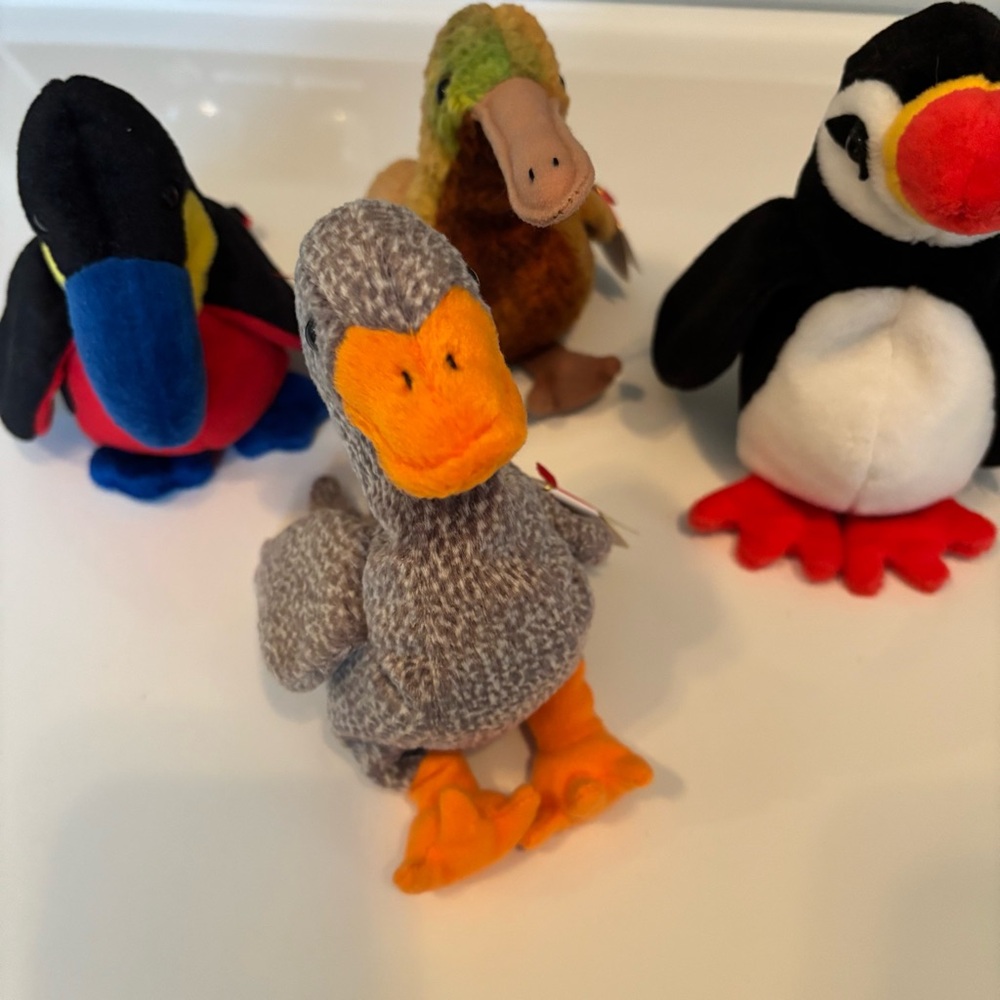Kiwi Puffer Beak Honks Beanie Babies Ty
